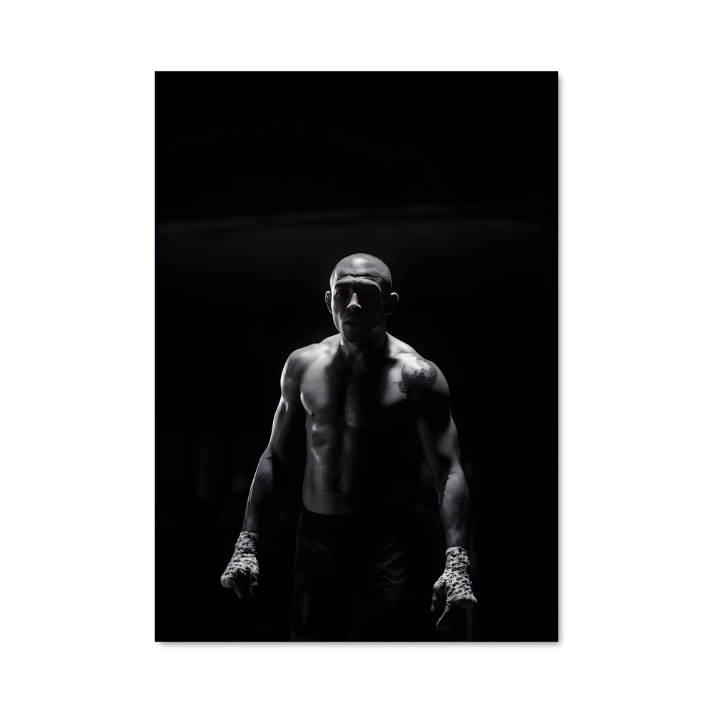 Poster Jose aldo